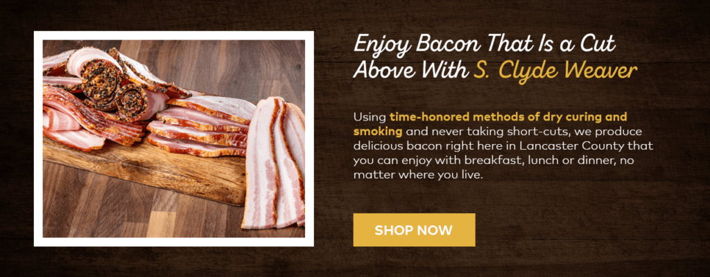 BACON definition and meaning