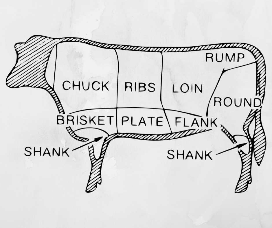 How Many Ribs Does A Cow Have All About Cow Photos