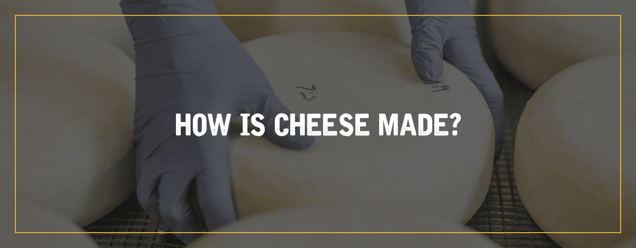 Storing Cheese to Protect Its Flavor and Protect Your Investment!