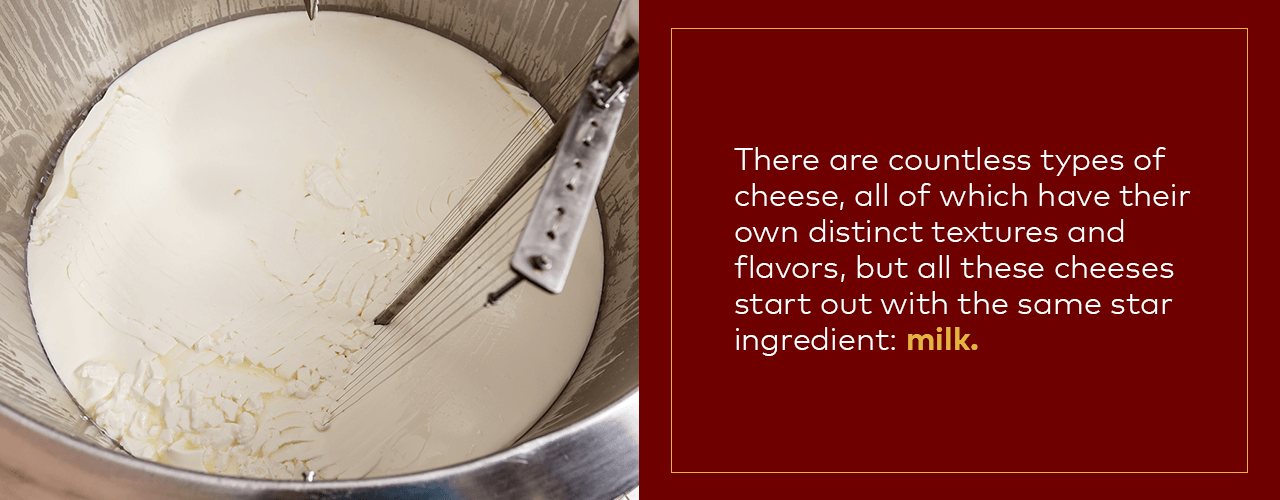 Essential Equipment in Cheese Making - Cheese Kettle