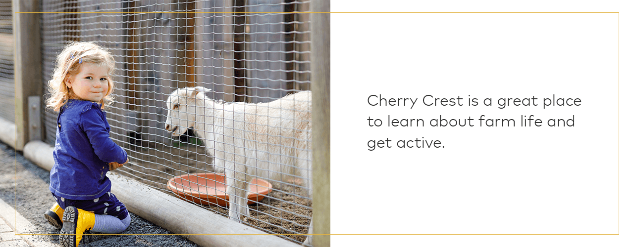 Cherry Crest Adventure Farm